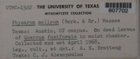 Image Associated With the Occurence